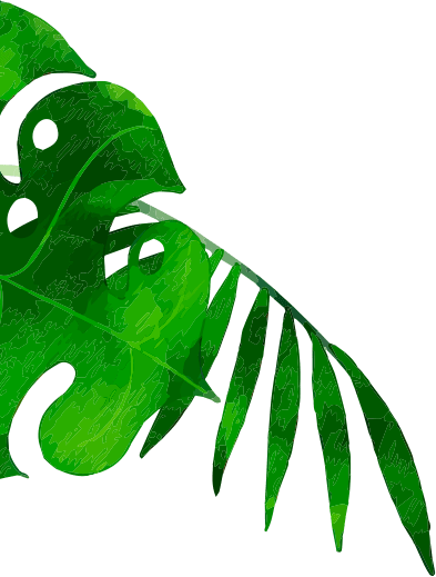 Leaves left