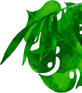 Leaves right